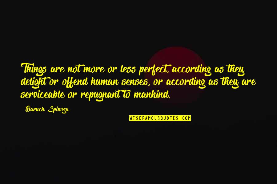 Svahn Newbury Quotes By Baruch Spinoza: Things are not more or less perfect, according