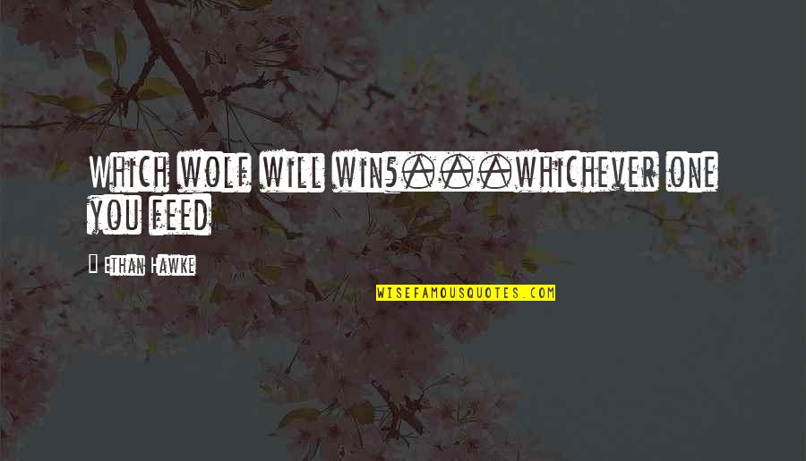 Svalander Judith Quotes By Ethan Hawke: Which wolf will win?...whichever one you feed Svalander Judith Quotes By Ethan Hawke: Which wolf will win?...whichever one you feed