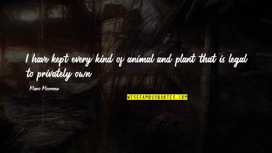 Svatava Merkle Quotes By Marc Morrone: I have kept every kind of animal and