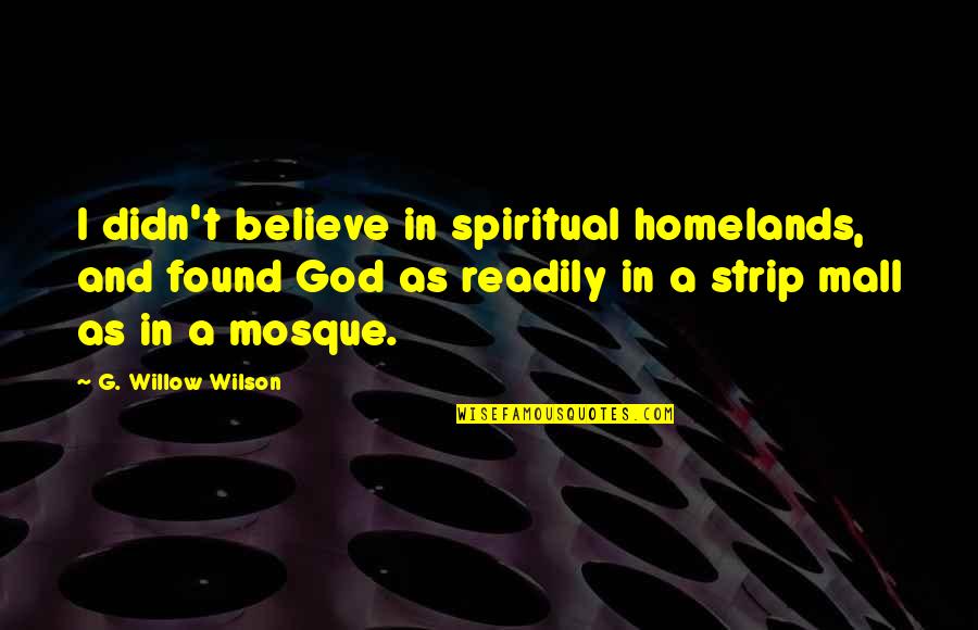 Svati 3 Quotes By G. Willow Wilson: I didn't believe in spiritual homelands, and found Svati 3 Quotes By G. Willow Wilson: I didn't believe in spiritual homelands, and found