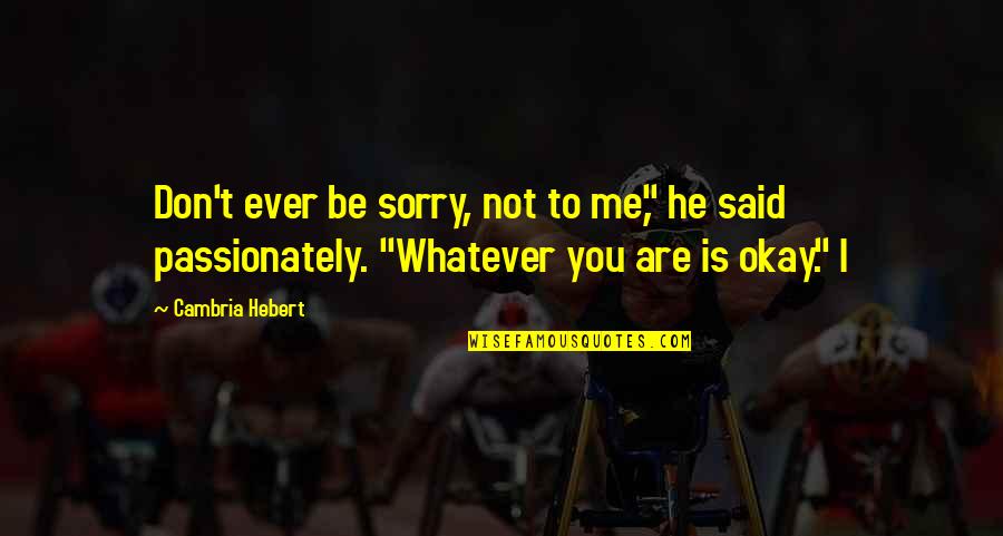 Svavar Kn Tur Quotes By Cambria Hebert: Don't ever be sorry, not to me," he Svavar Kn Tur Quotes By Cambria Hebert: Don't ever be sorry, not to me," he