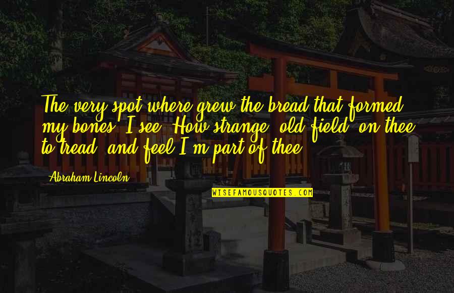 Svcte Quotes By Abraham Lincoln: The very spot where grew the bread that