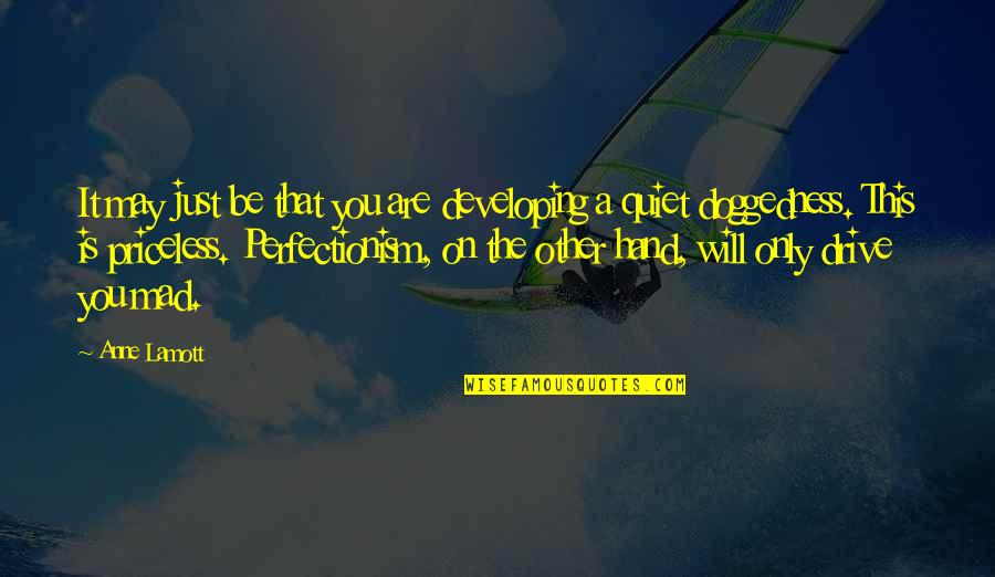 Sviluppare Sinonimi Quotes By Anne Lamott: It may just be that you are developing Sviluppare Sinonimi Quotes By Anne Lamott: It may just be that you are developing