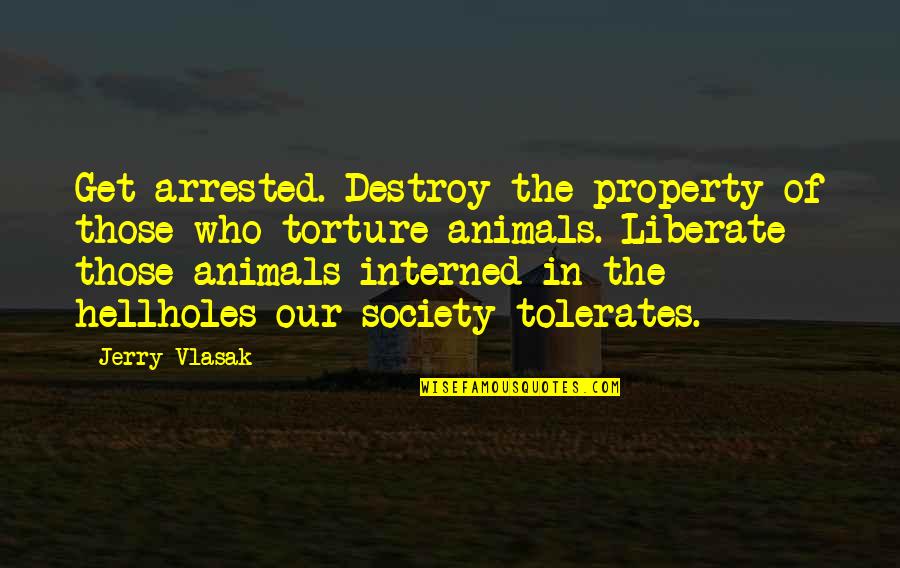 Svitzer Quotes By Jerry Vlasak: Get arrested. Destroy the property of those who