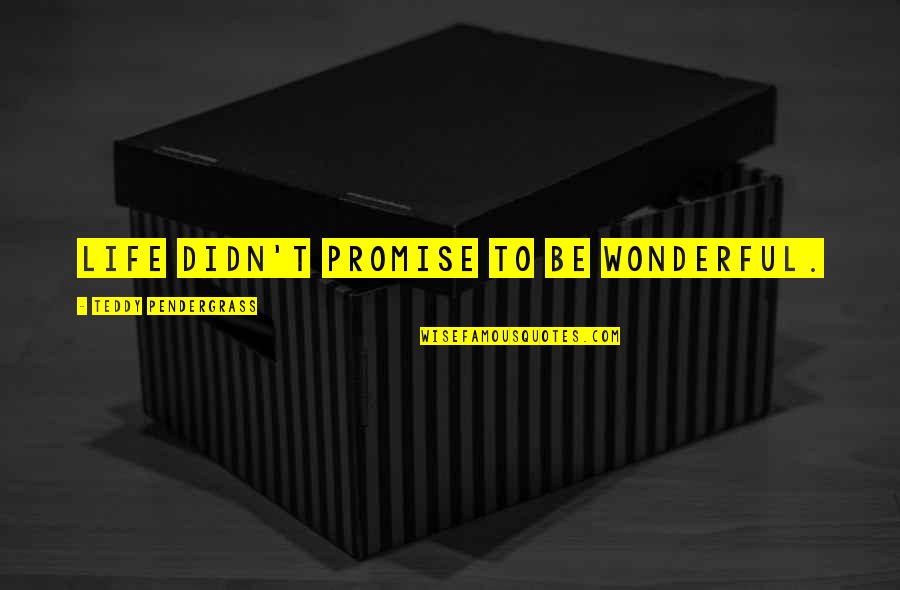 Svmic Risk Quotes By Teddy Pendergrass: Life didn't promise to be wonderful. Svmic Risk Quotes By Teddy Pendergrass: Life didn't promise to be wonderful.