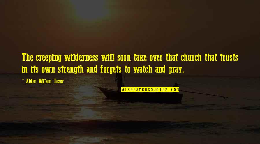 Svrdel Quotes By Aiden Wilson Tozer: The creeping wilderness will soon take over that
