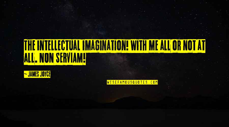 Svresearch Quotes By James Joyce: The intellectual imagination! With me all or not