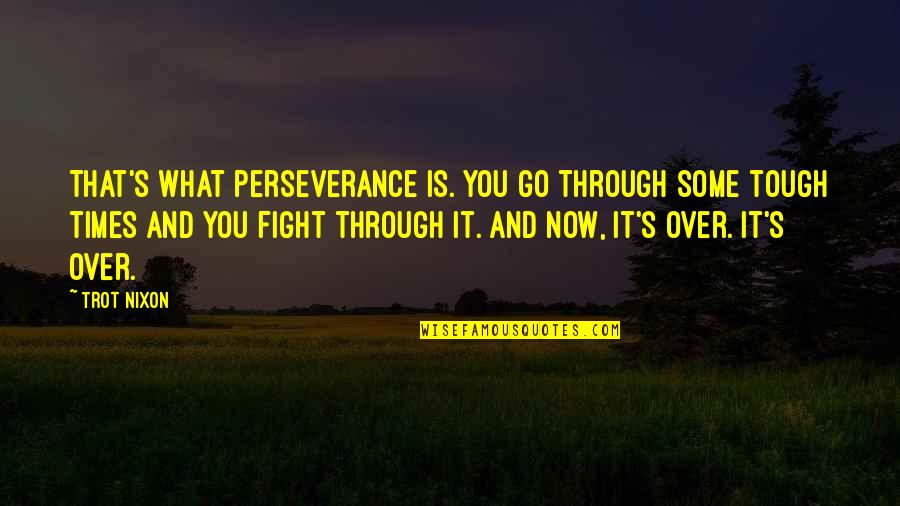 Swaies Quotes By Trot Nixon: That's what perseverance is. You go through some