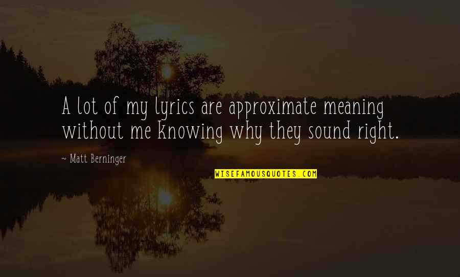Swaisland Passport Quotes By Matt Berninger: A lot of my lyrics are approximate meaning Swaisland Passport Quotes By Matt Berninger: A lot of my lyrics are approximate meaning