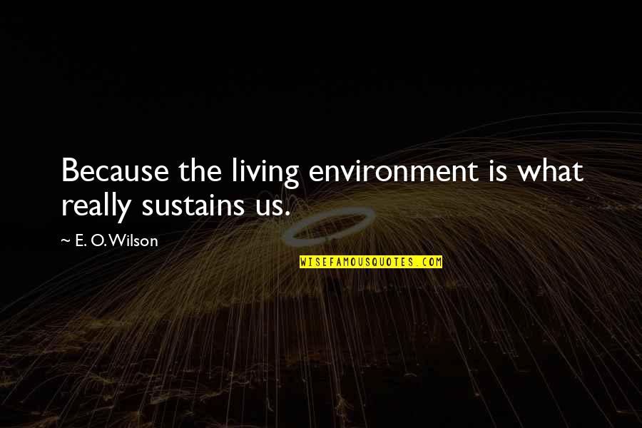 Swale Quotes By E. O. Wilson: Because the living environment is what really sustains