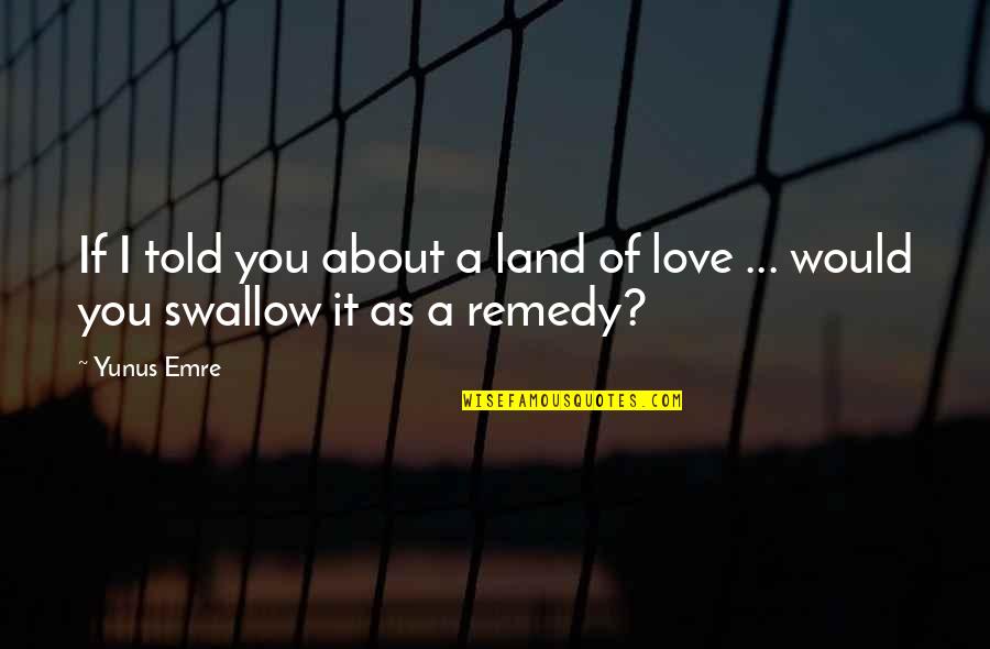 Swallow Love Quotes By Yunus Emre: If I told you about a land of