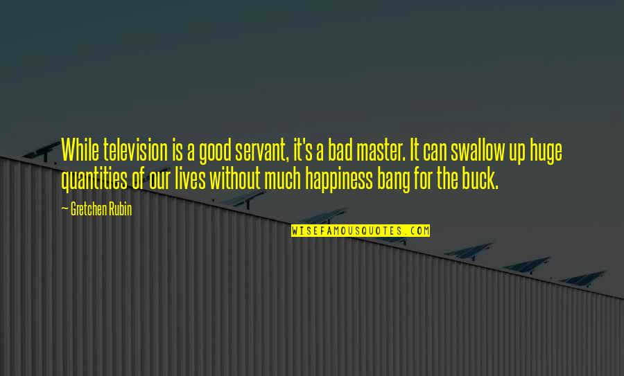 Swallow'd Quotes By Gretchen Rubin: While television is a good servant, it's a