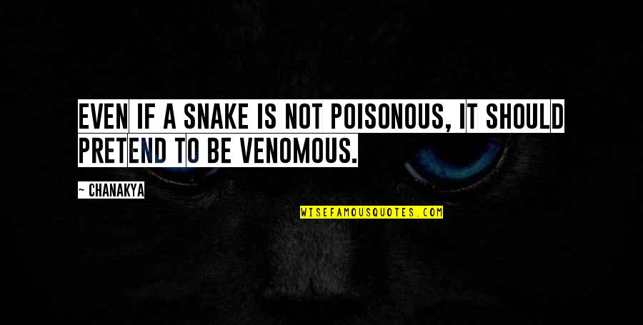 Swallows Of Kabul Quotes By Chanakya: Even if a snake is not poisonous, it