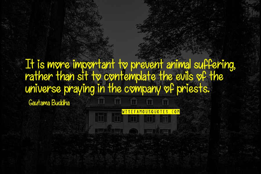 Swami Sri Yukteswar Quotes By Gautama Buddha: It is more important to prevent animal suffering,