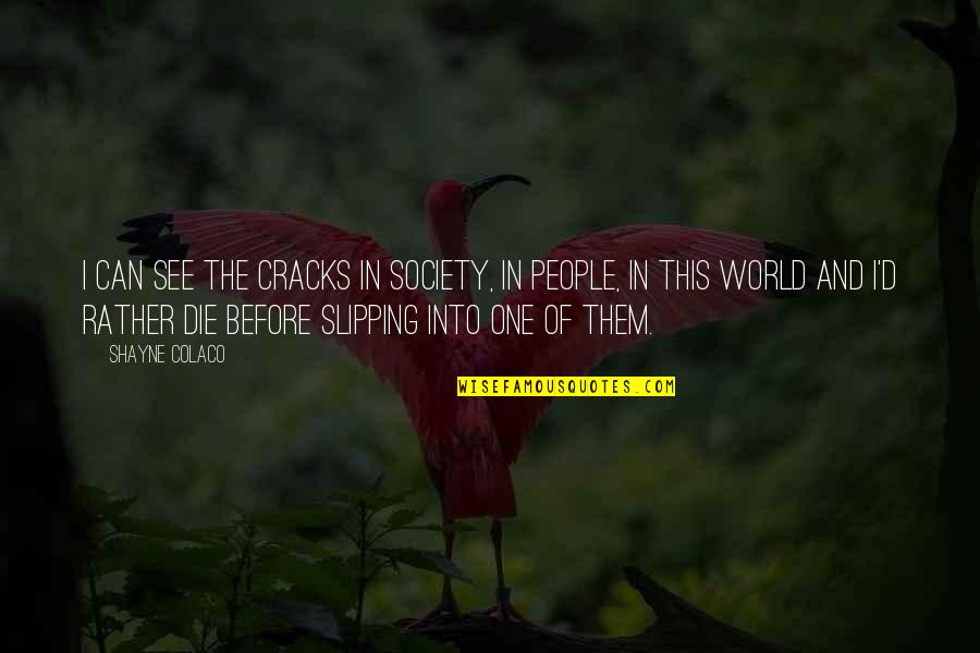 Swaminarayan Temple Quotes By Shayne Colaco: I can see the cracks in society, in Swaminarayan Temple Quotes By Shayne Colaco: I can see the cracks in society, in
