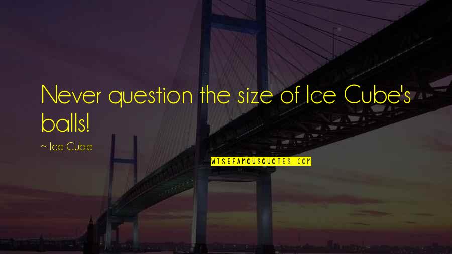 Swaminathan Aiyar Quotes By Ice Cube: Never question the size of Ice Cube's balls! Swaminathan Aiyar Quotes By Ice Cube: Never question the size of Ice Cube's balls!