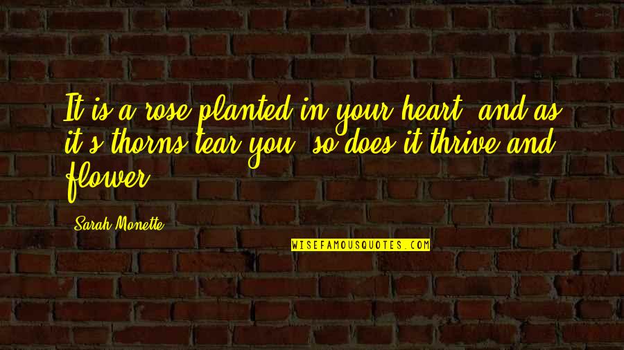 Swan Lake Quotes By Sarah Monette: It is a rose planted in your heart, Swan Lake Quotes By Sarah Monette: It is a rose planted in your heart,