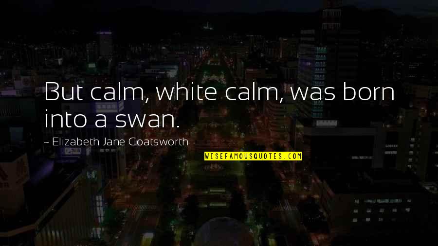 Swans Quotes By Elizabeth Jane Coatsworth: But calm, white calm, was born into a