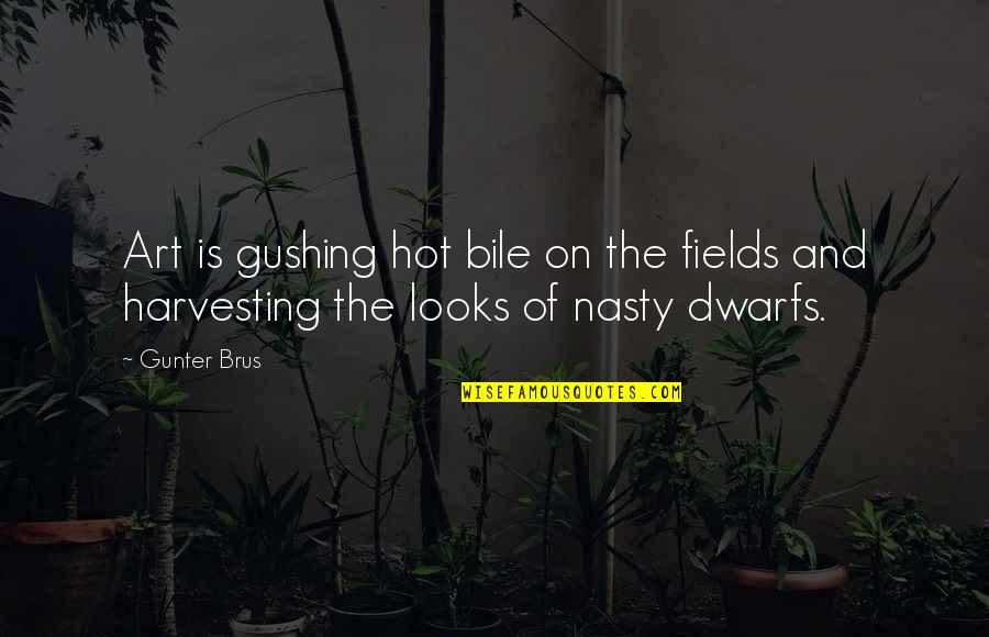 Swarup Karande Quotes By Gunter Brus: Art is gushing hot bile on the fields