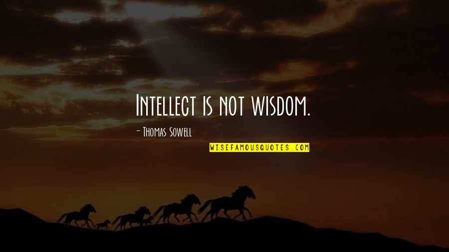 Swashbuckle Quotes By Thomas Sowell: Intellect is not wisdom.