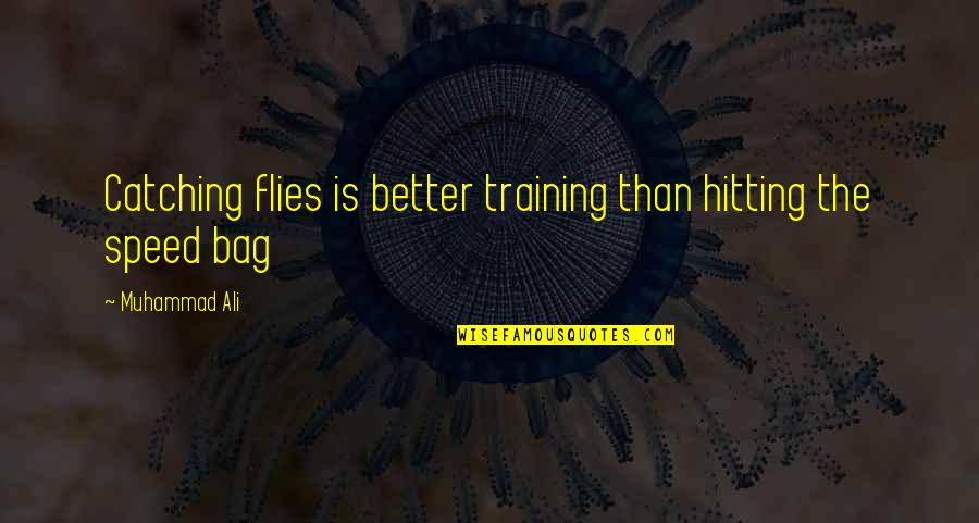 Swatchicka Quotes By Muhammad Ali: Catching flies is better training than hitting the Swatchicka Quotes By Muhammad Ali: Catching flies is better training than hitting the