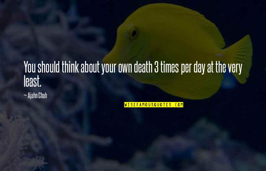 Swats Quotes By Ajahn Chah: You should think about your own death 3 Swats Quotes By Ajahn Chah: You should think about your own death 3