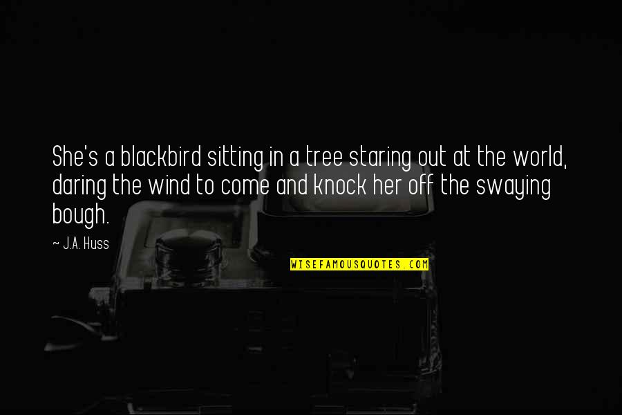 Swaying In The Wind Quotes By J.A. Huss: She's a blackbird sitting in a tree staring Swaying In The Wind Quotes By J.A. Huss: She's a blackbird sitting in a tree staring