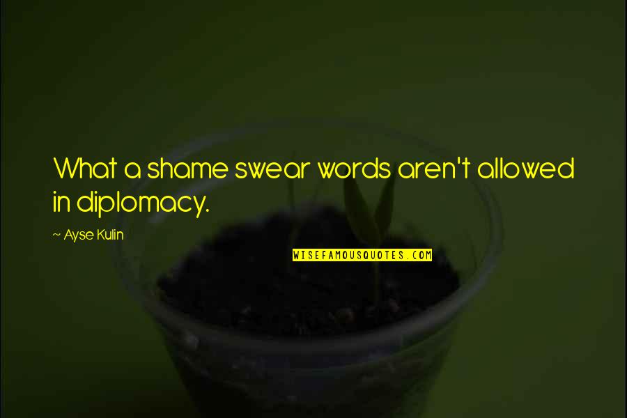 Swear Words Quotes By Ayse Kulin: What a shame swear words aren't allowed in