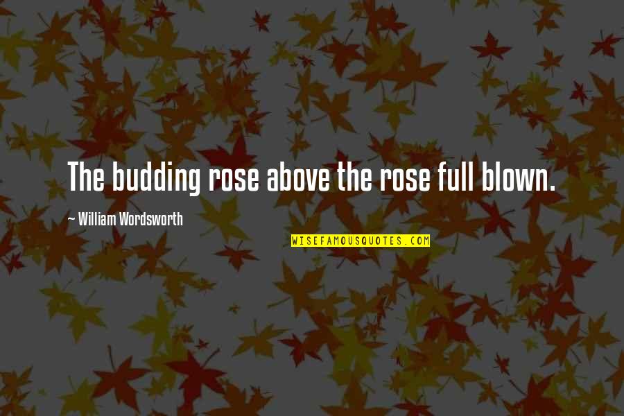 Sweatshirts With Inspirational Quotes By William Wordsworth: The budding rose above the rose full blown. Sweatshirts With Inspirational Quotes By William Wordsworth: The budding rose above the rose full blown.