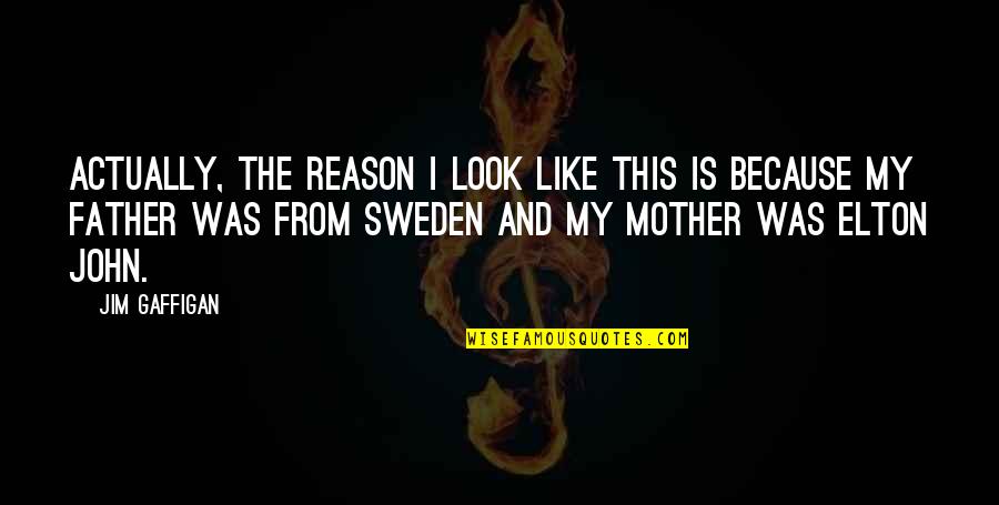 Sweden Quotes By Jim Gaffigan: Actually, the reason I look like this is