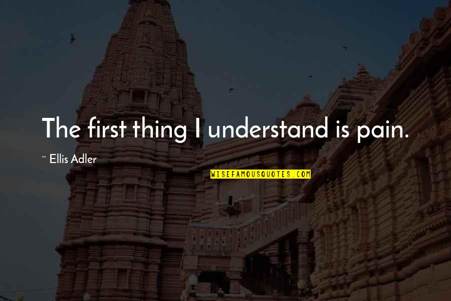 Swedish Meal Time Quotes By Ellis Adler: The first thing I understand is pain.