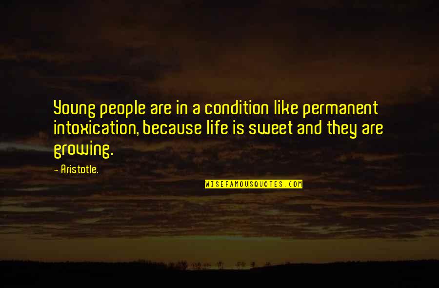 Sweet And Life Quotes By Aristotle.: Young people are in a condition like permanent