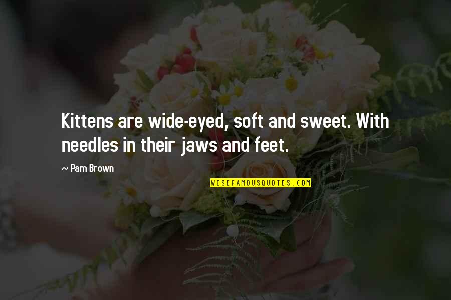 Sweet And Soft Quotes By Pam Brown: Kittens are wide-eyed, soft and sweet. With needles