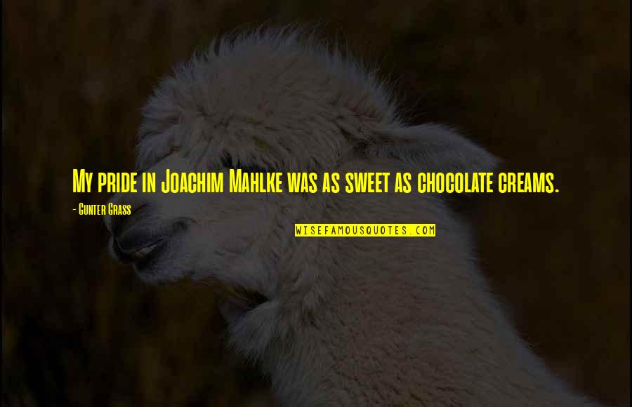 Sweet Chocolate Quotes By Gunter Grass: My pride in Joachim Mahlke was as sweet