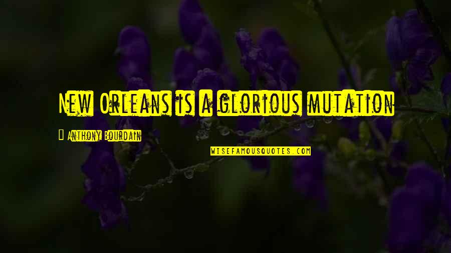 Sweet Images And Quotes By Anthony Bourdain: New Orleans is a glorious mutation Sweet Images And Quotes By Anthony Bourdain: New Orleans is a glorious mutation