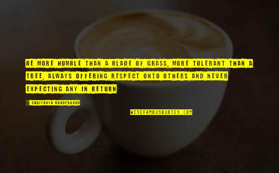 Sweet Johnson Quotes By Chaitanya Mahaprabhu: Be more humble than a blade of grass, Sweet Johnson Quotes By Chaitanya Mahaprabhu: Be more humble than a blade of grass,