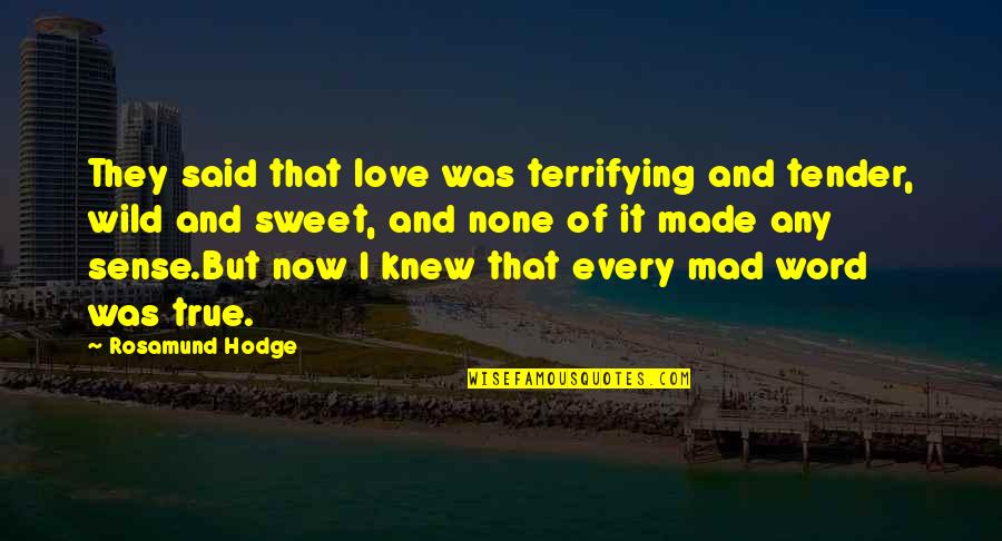 Sweet Love Words And Quotes By Rosamund Hodge: They said that love was terrifying and tender,