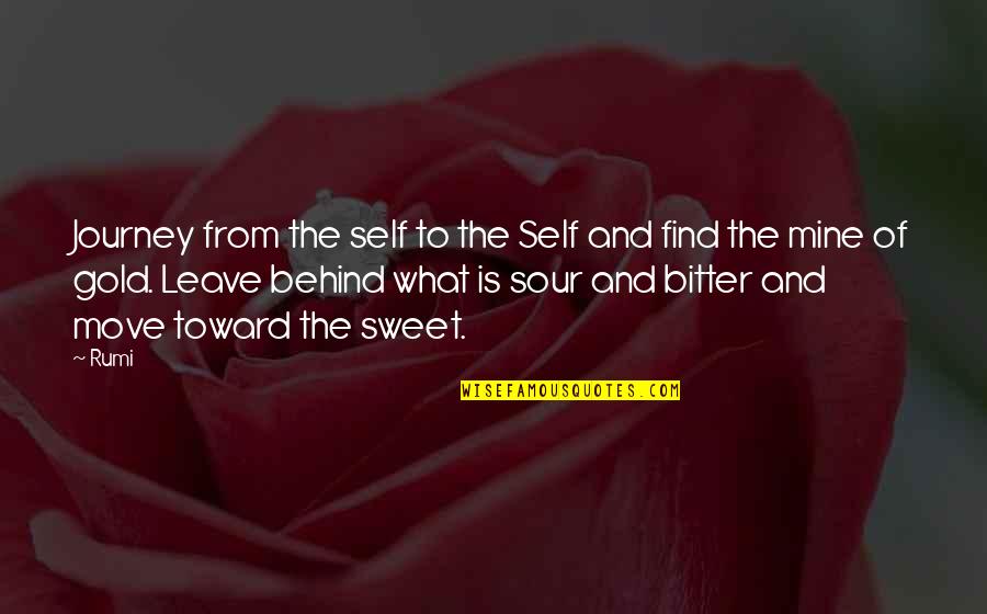 Sweet N Sour Quotes By Rumi: Journey from the self to the Self and