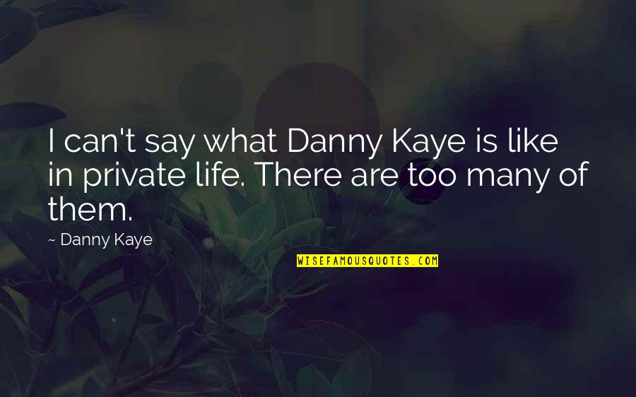 Sweet Nasty Quotes By Danny Kaye: I can't say what Danny Kaye is like