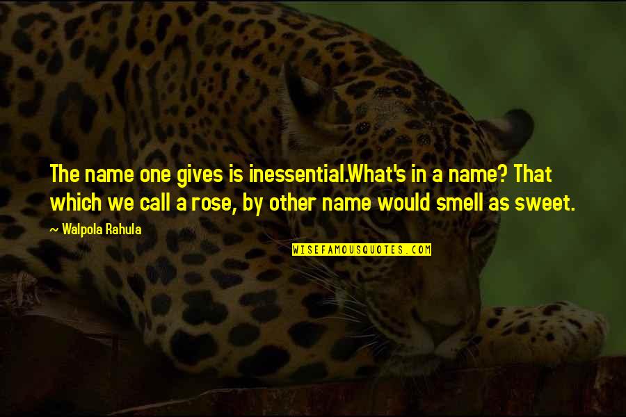 Sweet One Quotes By Walpola Rahula: The name one gives is inessential.What's in a