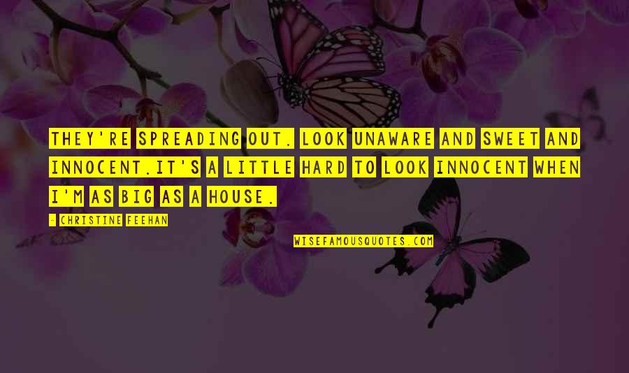 Sweet Pregnancy Quotes By Christine Feehan: They're spreading out. Look unaware and sweet and Sweet Pregnancy Quotes By Christine Feehan: They're spreading out. Look unaware and sweet and