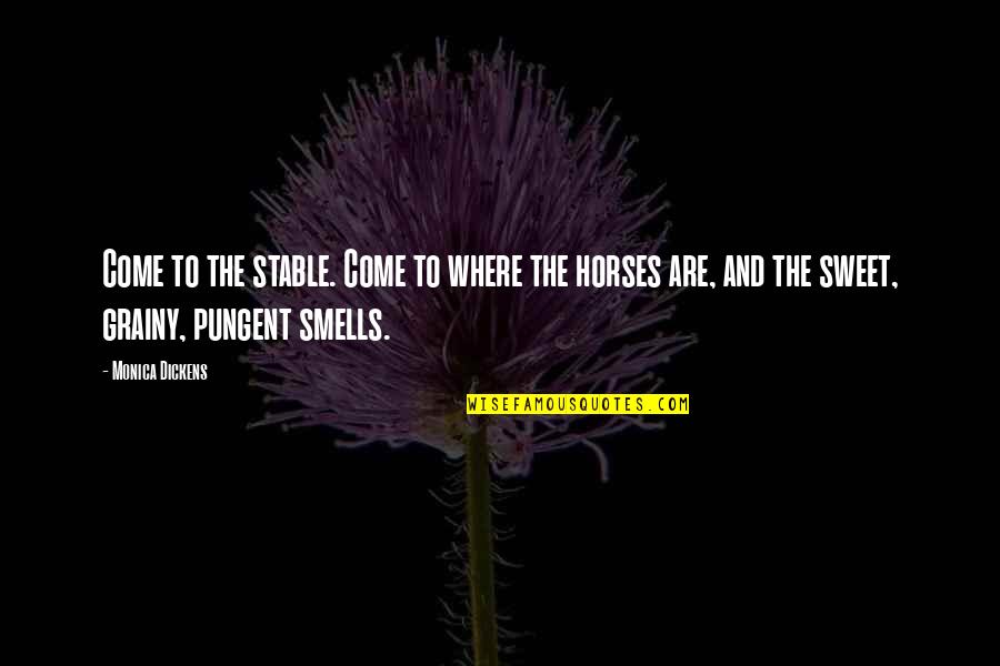 Sweet Smells Quotes By Monica Dickens: Come to the stable. Come to where the