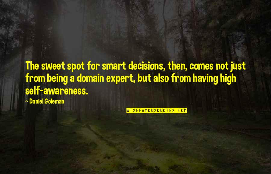 Sweet Spot Quotes By Daniel Goleman: The sweet spot for smart decisions, then, comes