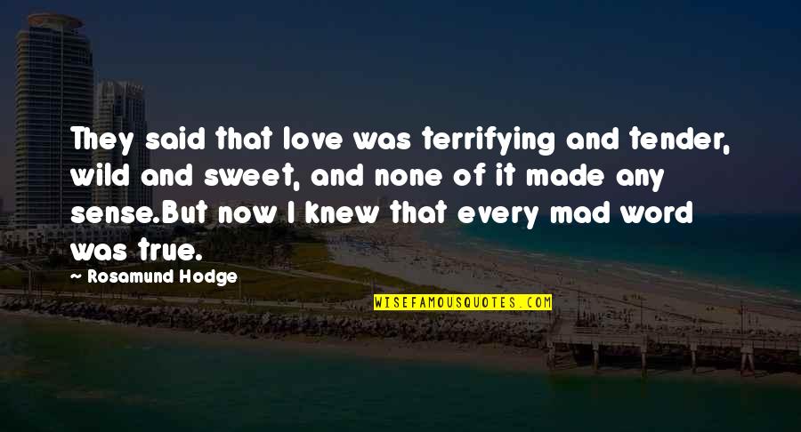 Sweet Tender Love Quotes By Rosamund Hodge: They said that love was terrifying and tender,