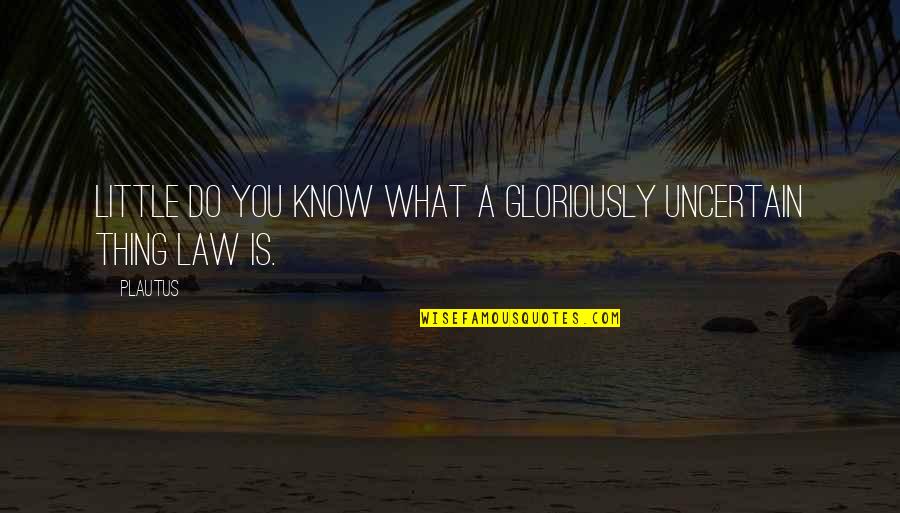 Sweeter Days Quotes By Plautus: Little do you know what a gloriously uncertain