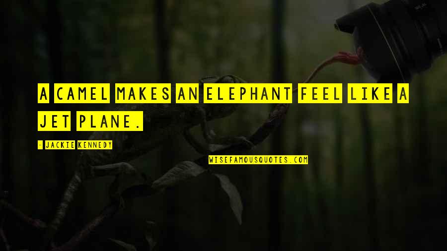 Sweetest Person In The World Quotes By Jackie Kennedy: A camel makes an elephant feel like a