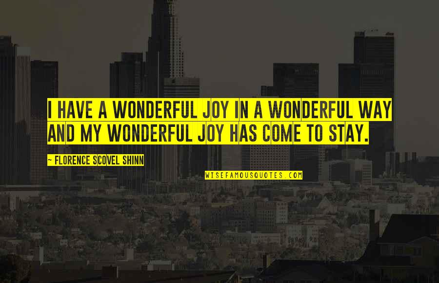 Sweets And Life Quotes By Florence Scovel Shinn: I have a wonderful joy in a wonderful