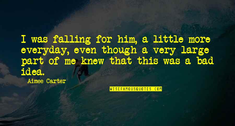Swerdlick Brookline Quotes By Aimee Carter: I was falling for him, a little more Swerdlick Brookline Quotes By Aimee Carter: I was falling for him, a little more