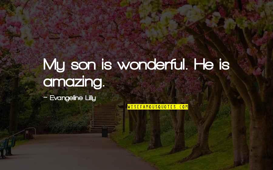 Swifty Morgan Quotes By Evangeline Lilly: My son is wonderful. He is amazing. Swifty Morgan Quotes By Evangeline Lilly: My son is wonderful. He is amazing.