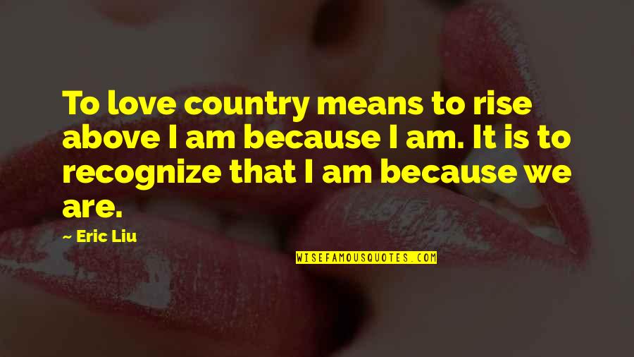 Swim The Fly Quotes By Eric Liu: To love country means to rise above I Swim The Fly Quotes By Eric Liu: To love country means to rise above I